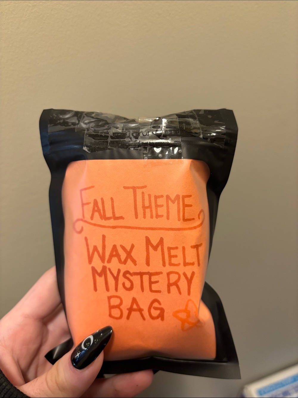Fall Theme Wax Melt ❓MYSTERY❓ Bag